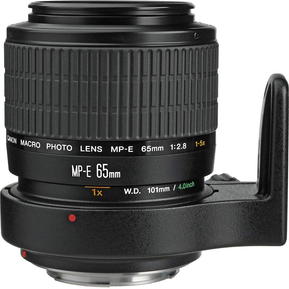 Canon MP-E 65mm f/2.8 1-5x Macro Lens - EF-mount