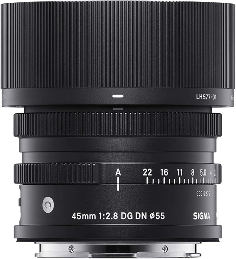 Sigma 14-24mm f/2.8 DG DN Art Lens - L-Mount