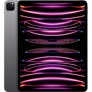 iPad Pro 11" 4th Gen M2 256GB - Space Grey (WiFi + Cellular)